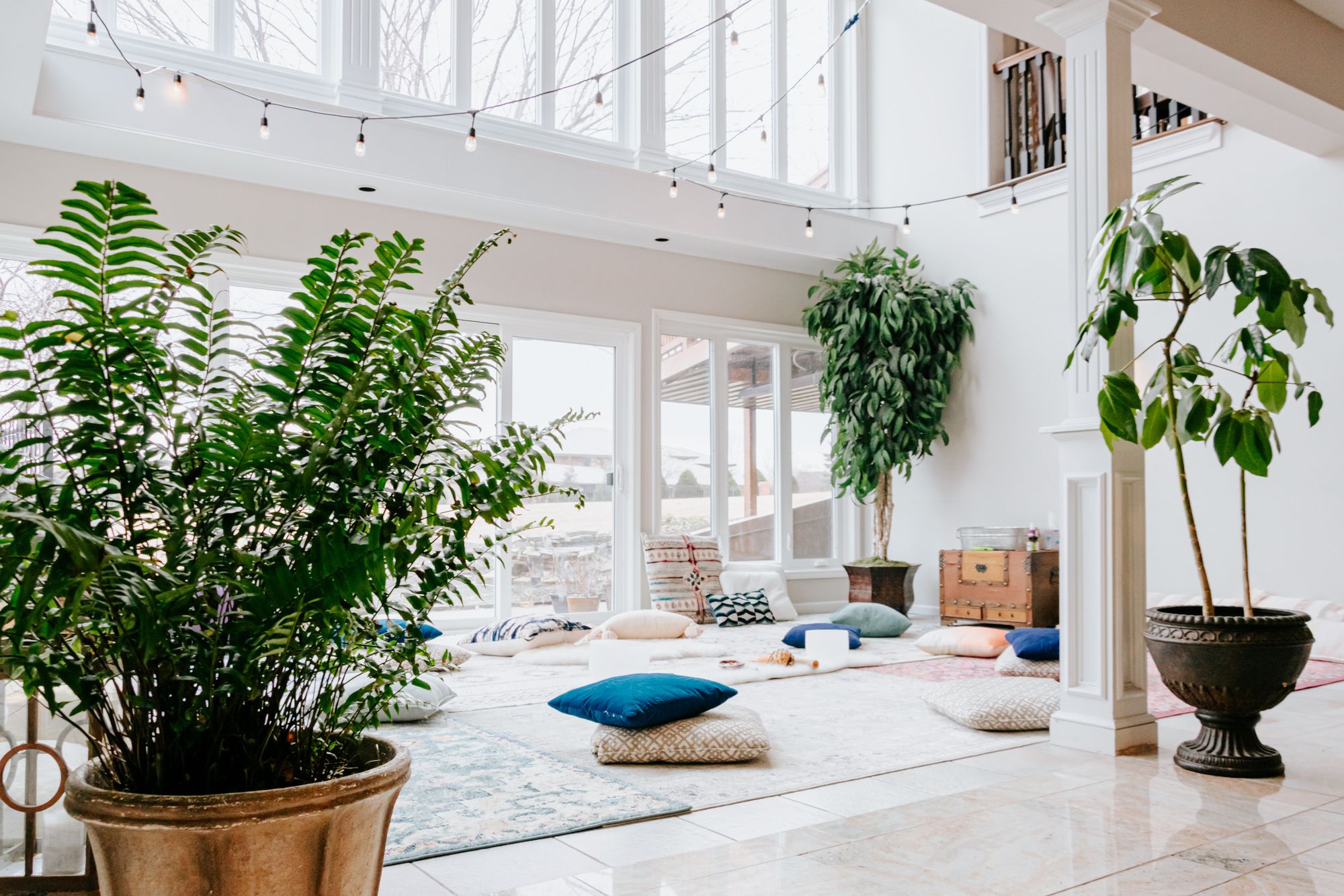 White room with plants , tall glass windows and cushions on the floor