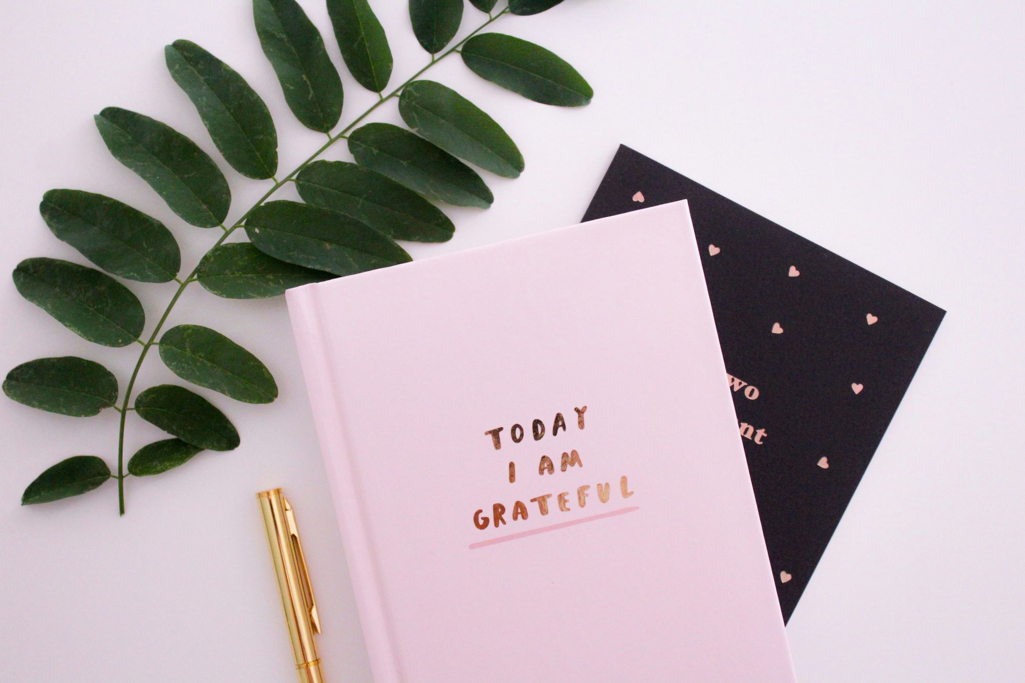 Pink journal with title saying ' Today I am grateful'